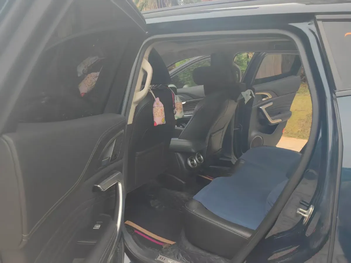 2020 WEY VV7 2.0T 227HP L4 7DCT,autocango,china used car exporter,china ev exporter,chinese used car exporter,chinese used ev exporter