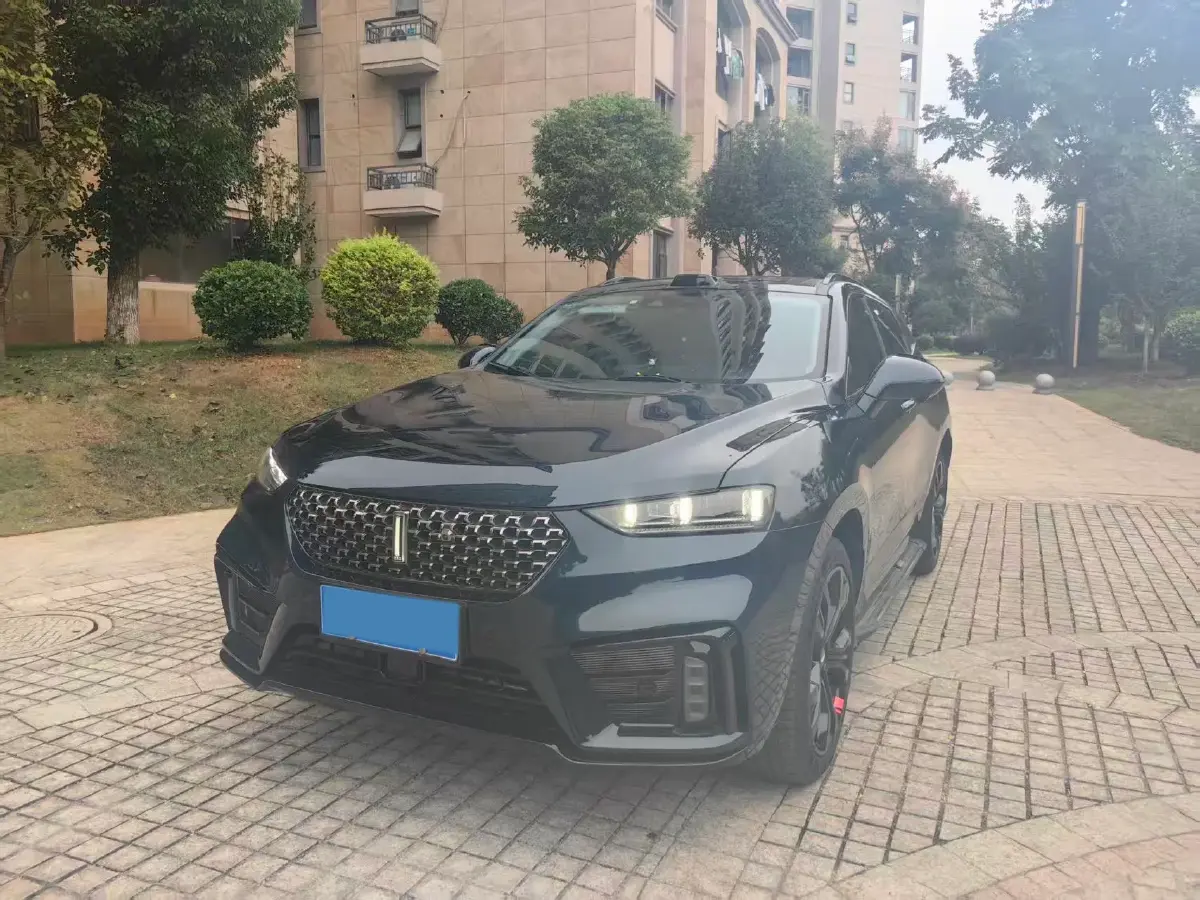 2020 WEY VV7 2.0T 227HP L4 7DCT