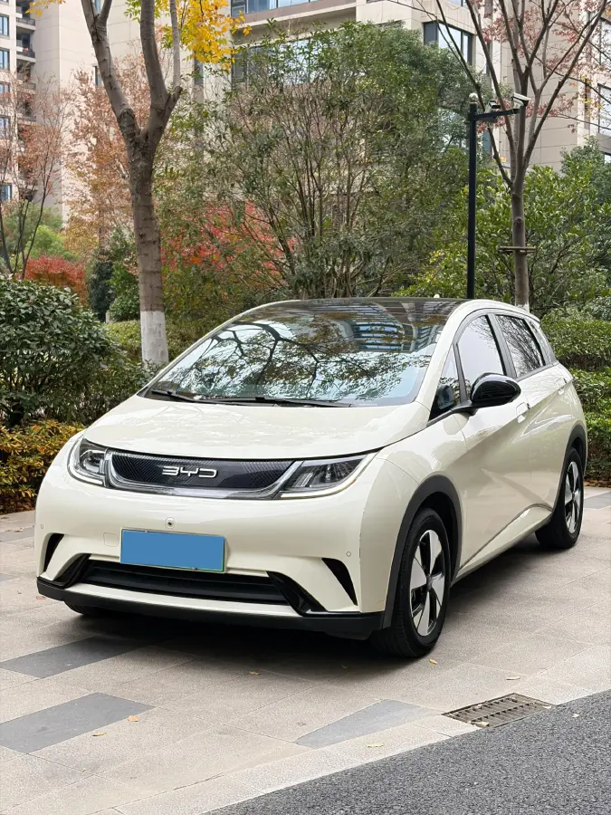 2023 BYD Dolphin BEV 44.928KWH