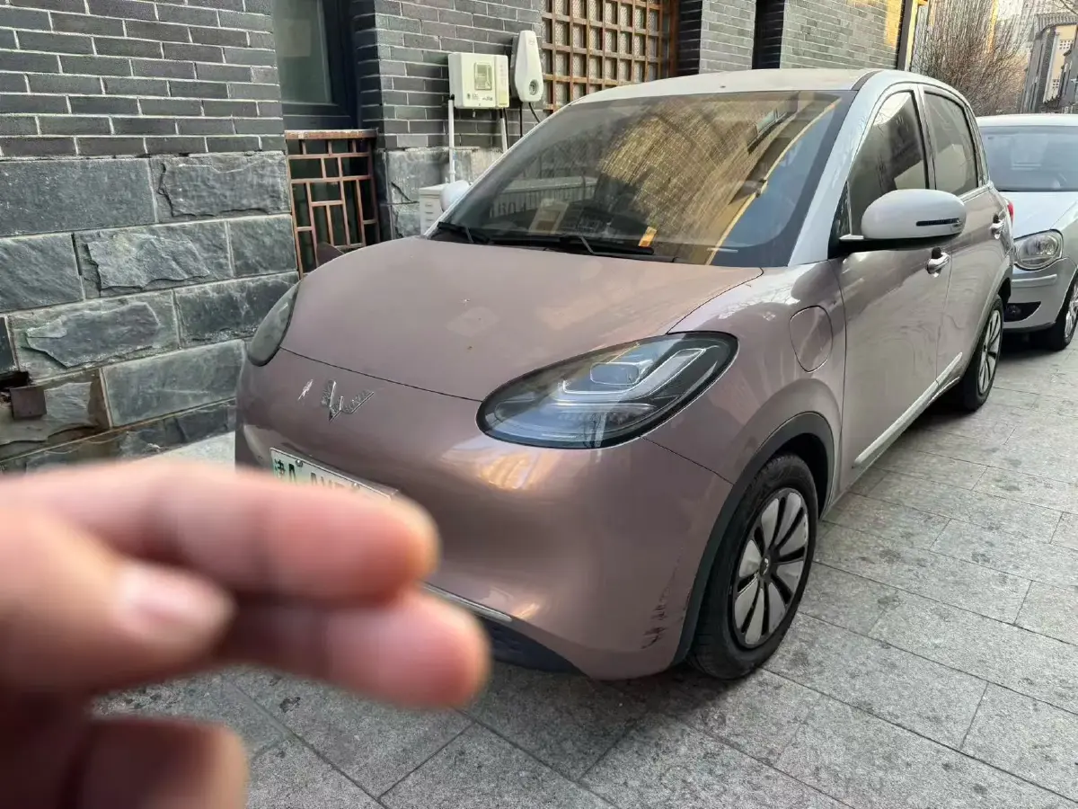 2023 WuLing BinGuo BEV 31.9KWH