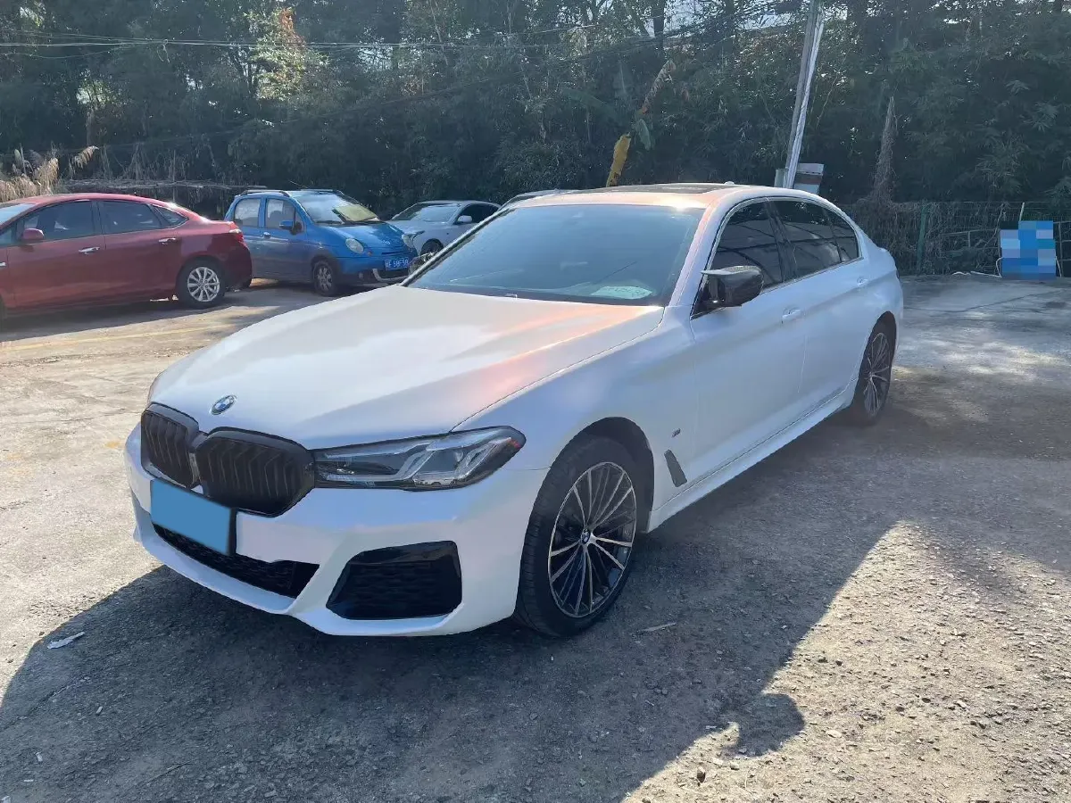 2022 BMW 5 Series 2.0T 252HP L4 8AT,autocango,china used car exporter,china ev exporter,chinese used car exporter,chinese used ev exporter