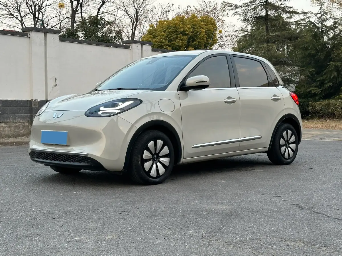 2023 WuLing BinGuo BEV 31.9KWH