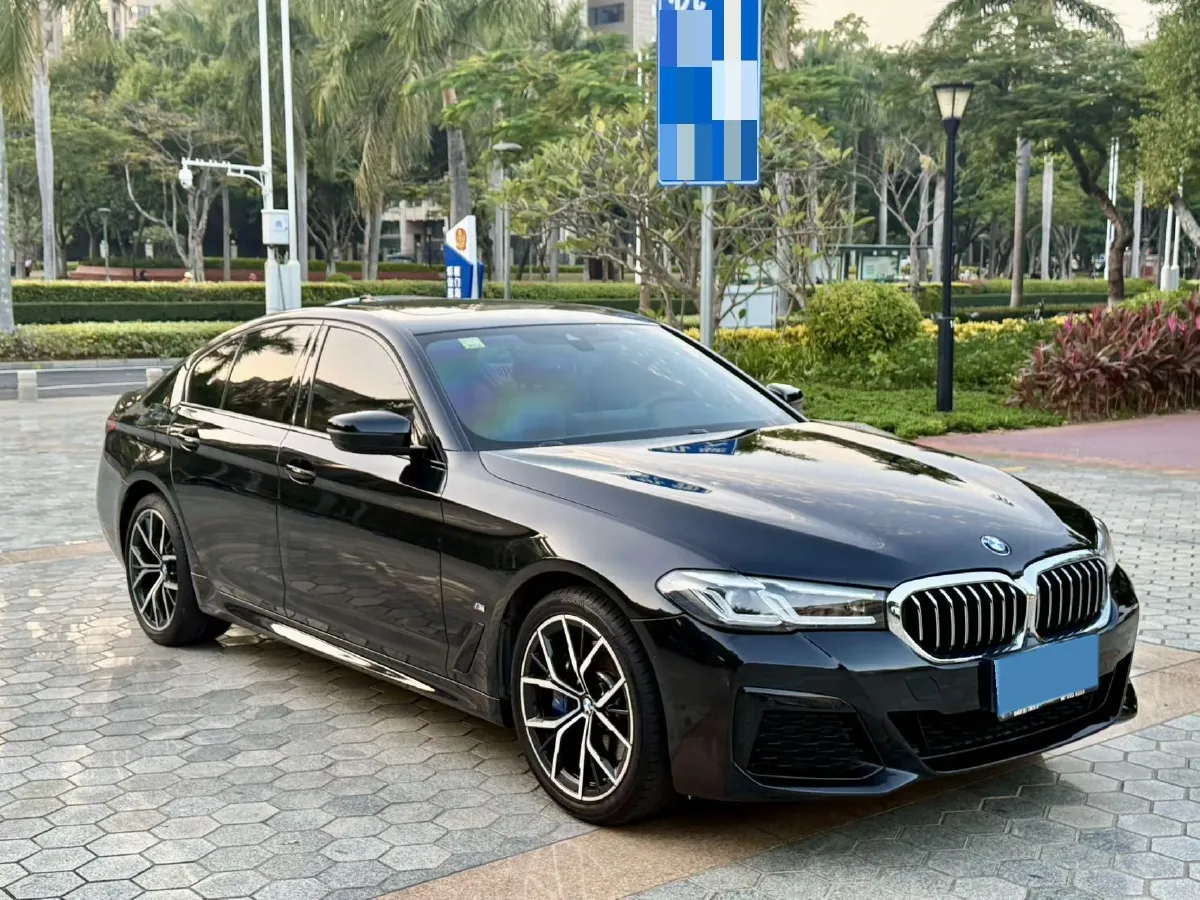 2021 BMW 5 Series 2.0T 252HP L4 8AT,autocango,china used car exporter,china ev exporter,chinese used car exporter,chinese used ev exporter