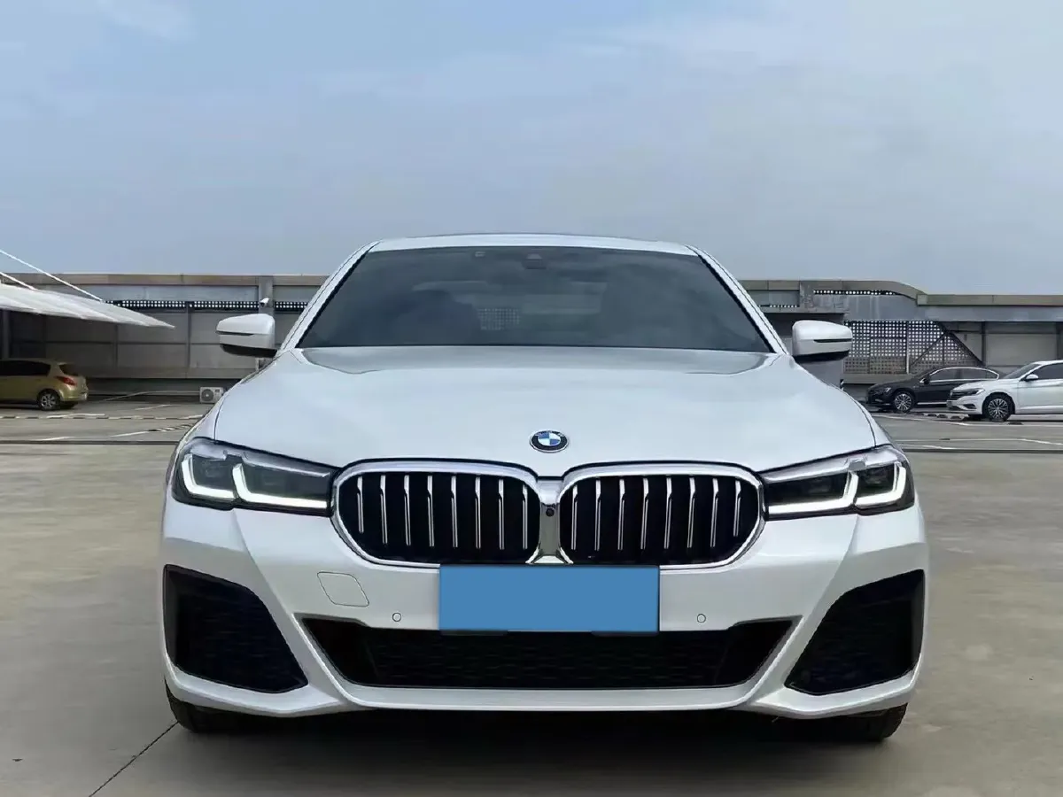 2021 BMW 5 Series 2.0T 252HP L4 8AT,autocango,china used car exporter,china ev exporter,chinese used car exporter,chinese used ev exporter