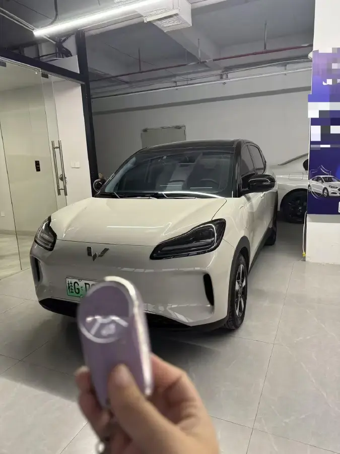 2024 WuLing BinGuoPLUS BEV 37.9KWH