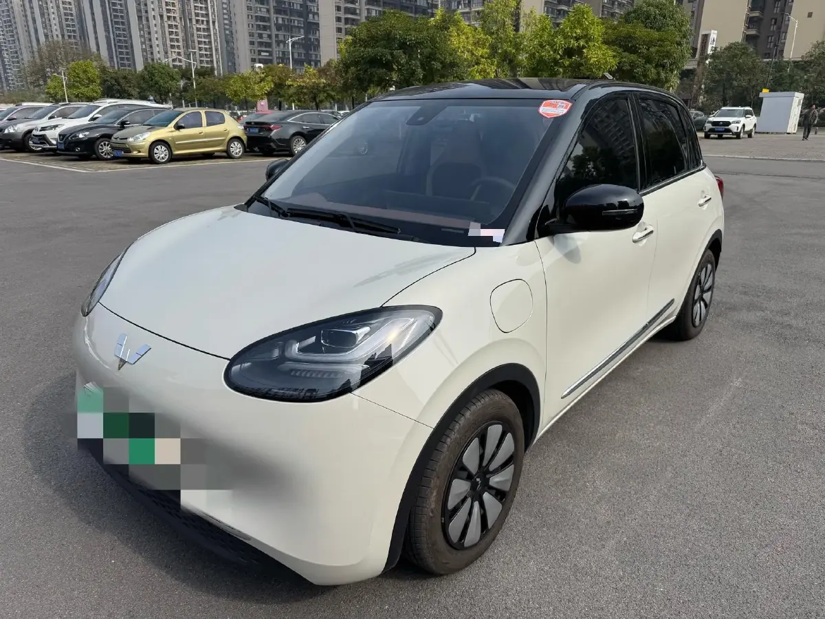 2023 WuLing BinGuo BEV 31.9KWH