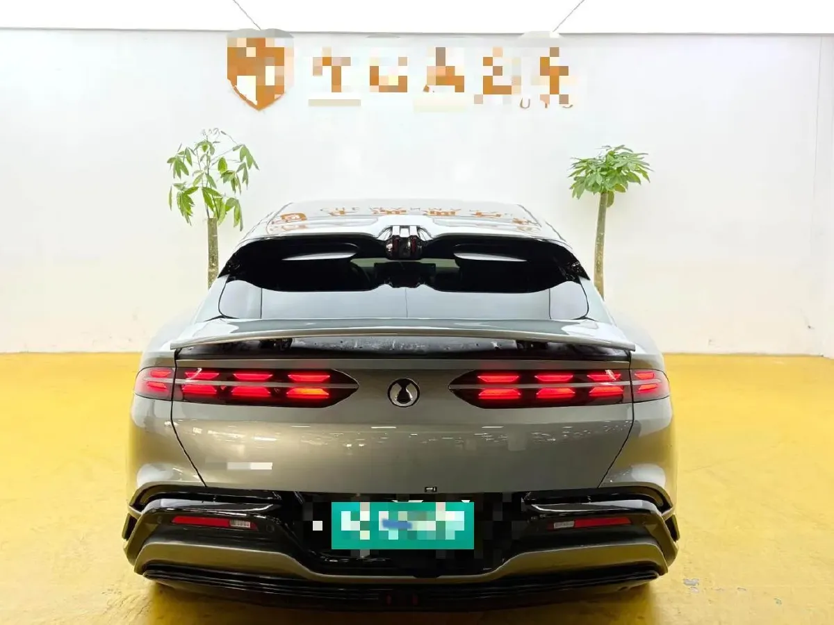 2024 Denza DenzaZ9GT 2.0T 207HP L4 E-CVT PHEV 38.5KWH,autocango,china used car exporter,china ev exporter,chinese used car exporter,chinese used ev exporter