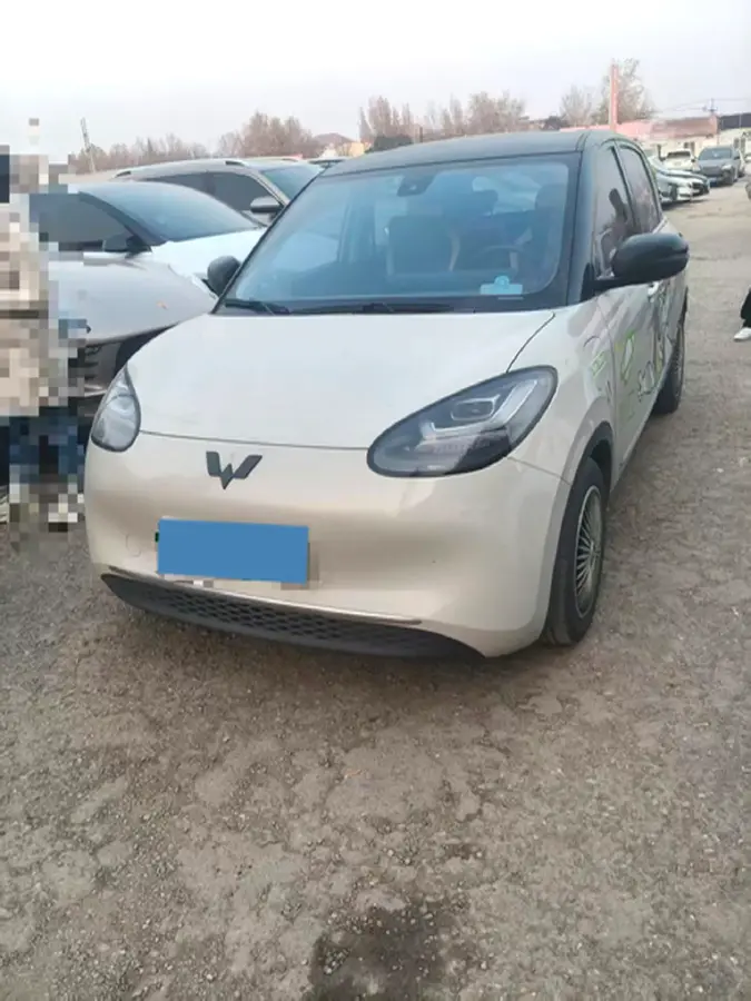 2023 WuLing BinGuo BEV 31.9KWH