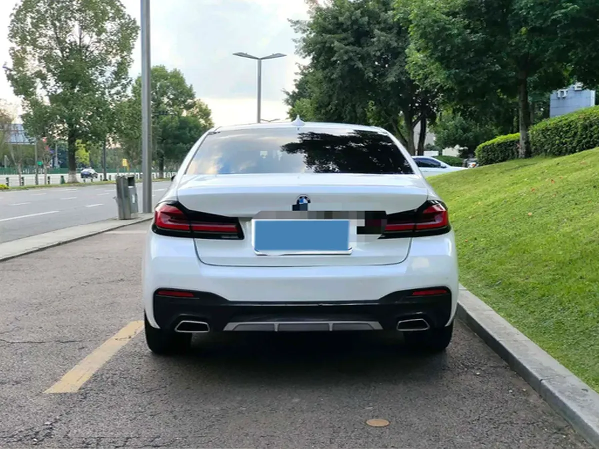 2021 BMW 5 Series 2.0T 184HP L4 8AT PHEV 17.7KWH,autocango,china used car exporter,china ev exporter,chinese used car exporter,chinese used ev exporter