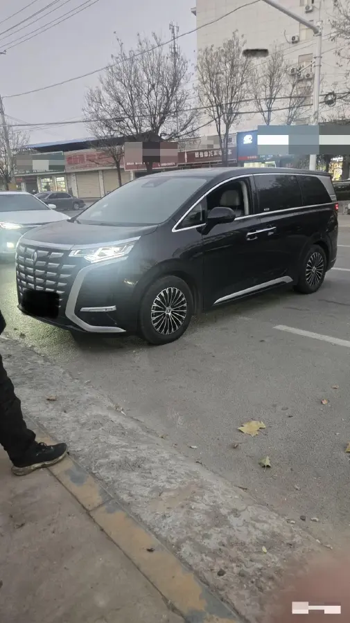 2024 Denza D9 1.5T 139HP L4 E-CVT PHEV 40KWH