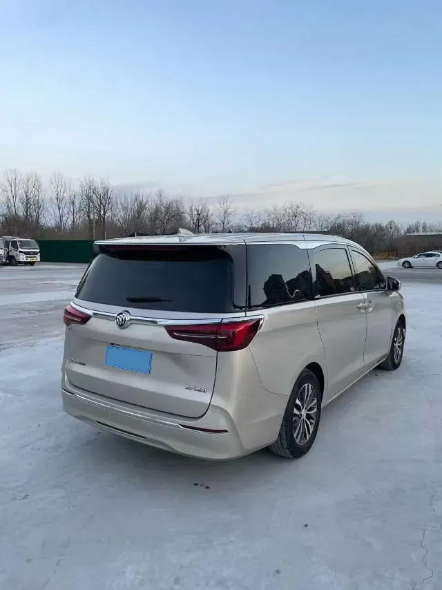 2020 Buick GL8 2.0T 237HP L4 9AT,autocango,china used car exporter,china ev exporter,chinese used car exporter,chinese used ev exporter