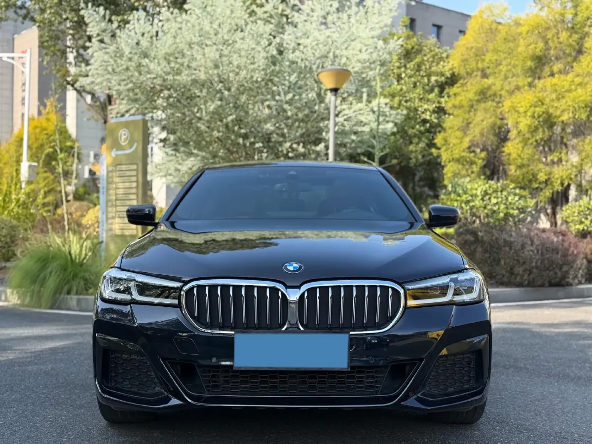 2021 BMW 5 Series 2.0T 252HP L4 8AT,autocango,china used car exporter,china ev exporter,chinese used car exporter,chinese used ev exporter