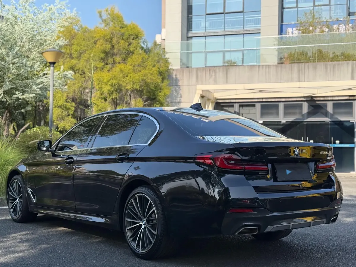 2021 BMW 5 Series 2.0T 252HP L4 8AT,autocango,china used car exporter,china ev exporter,chinese used car exporter,chinese used ev exporter