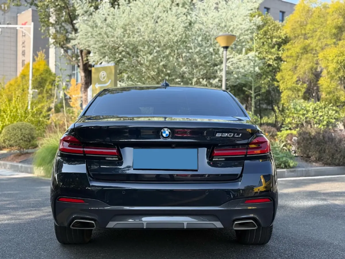 2021 BMW 5 Series 2.0T 252HP L4 8AT,autocango,china used car exporter,china ev exporter,chinese used car exporter,chinese used ev exporter