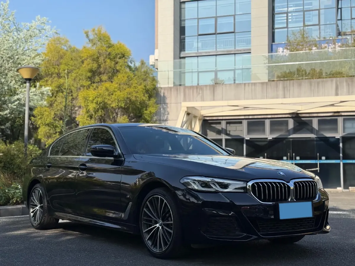 2021 BMW 5 Series 2.0T 252HP L4 8AT,autocango,china used car exporter,china ev exporter,chinese used car exporter,chinese used ev exporter