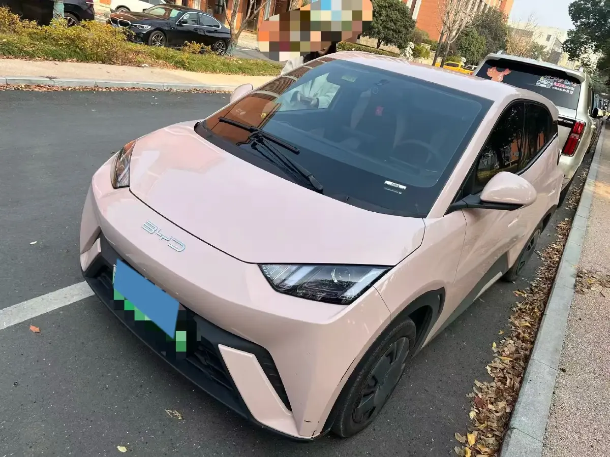 2023 BYD Seagull BEV 30.08KWH