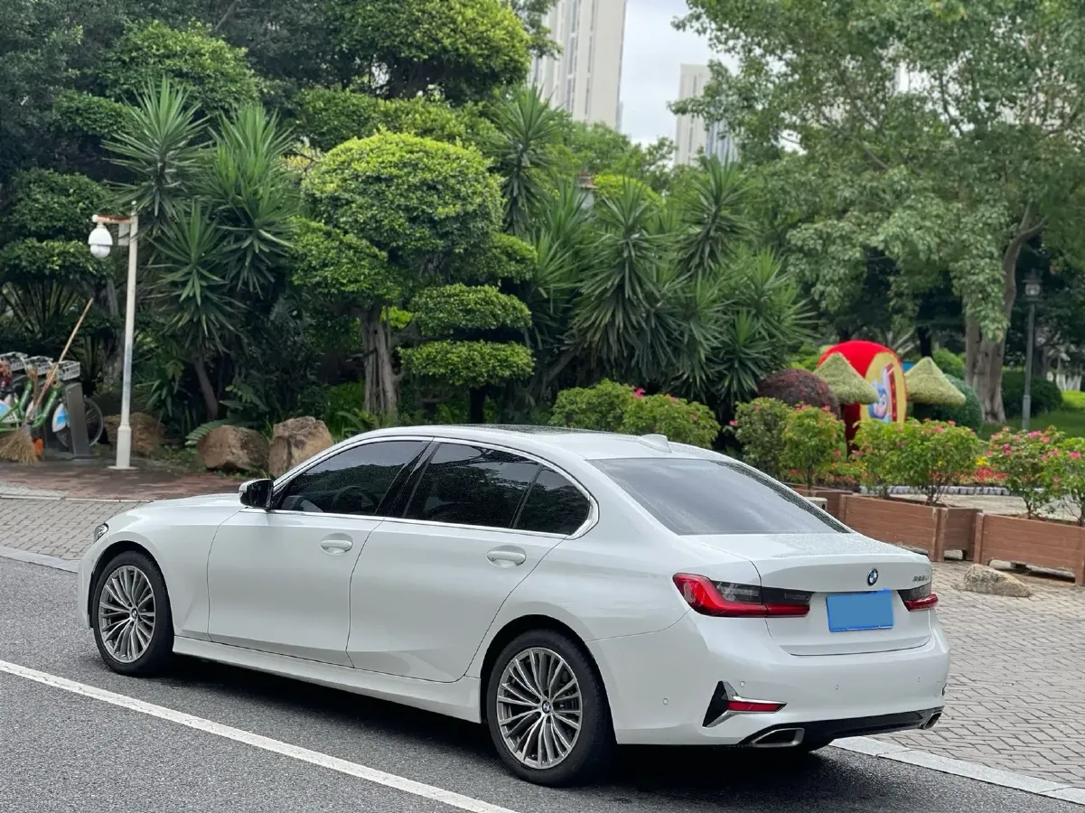 2020 BMW 3 Series 2.0T 184HP L4 8AT,autocango,china used car exporter,china ev exporter,chinese used car exporter,chinese used ev exporter
