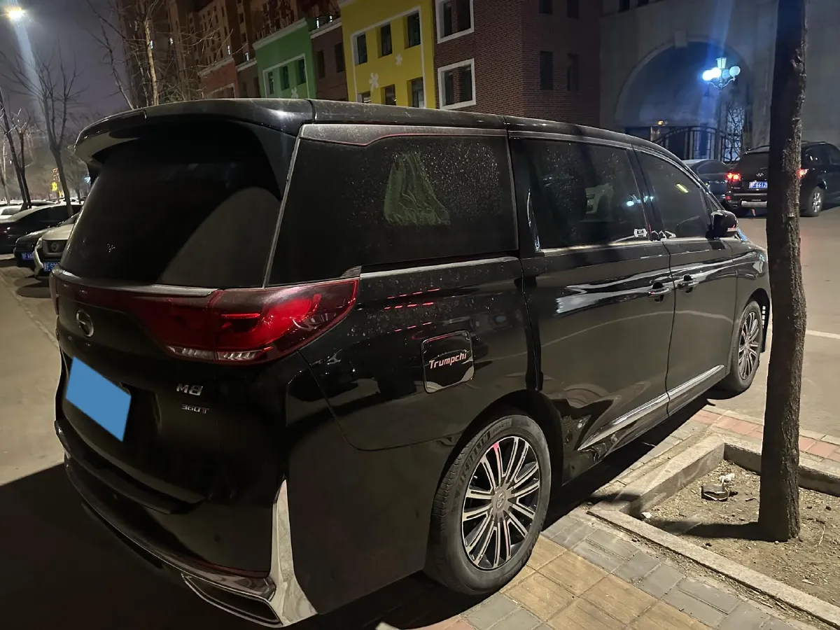 2021 GAC Trumpchi M8 2.0T 252HP L4 8AT,autocango,china used car exporter,china ev exporter,chinese used car exporter,chinese used ev exporter