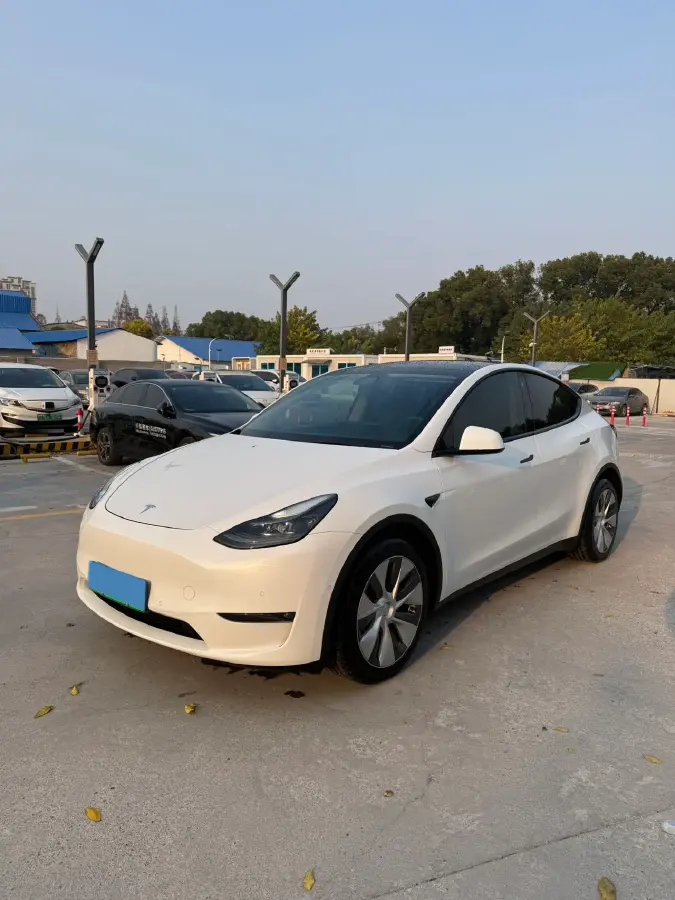 2021 Tesla Model Y BEV 76.8KWH