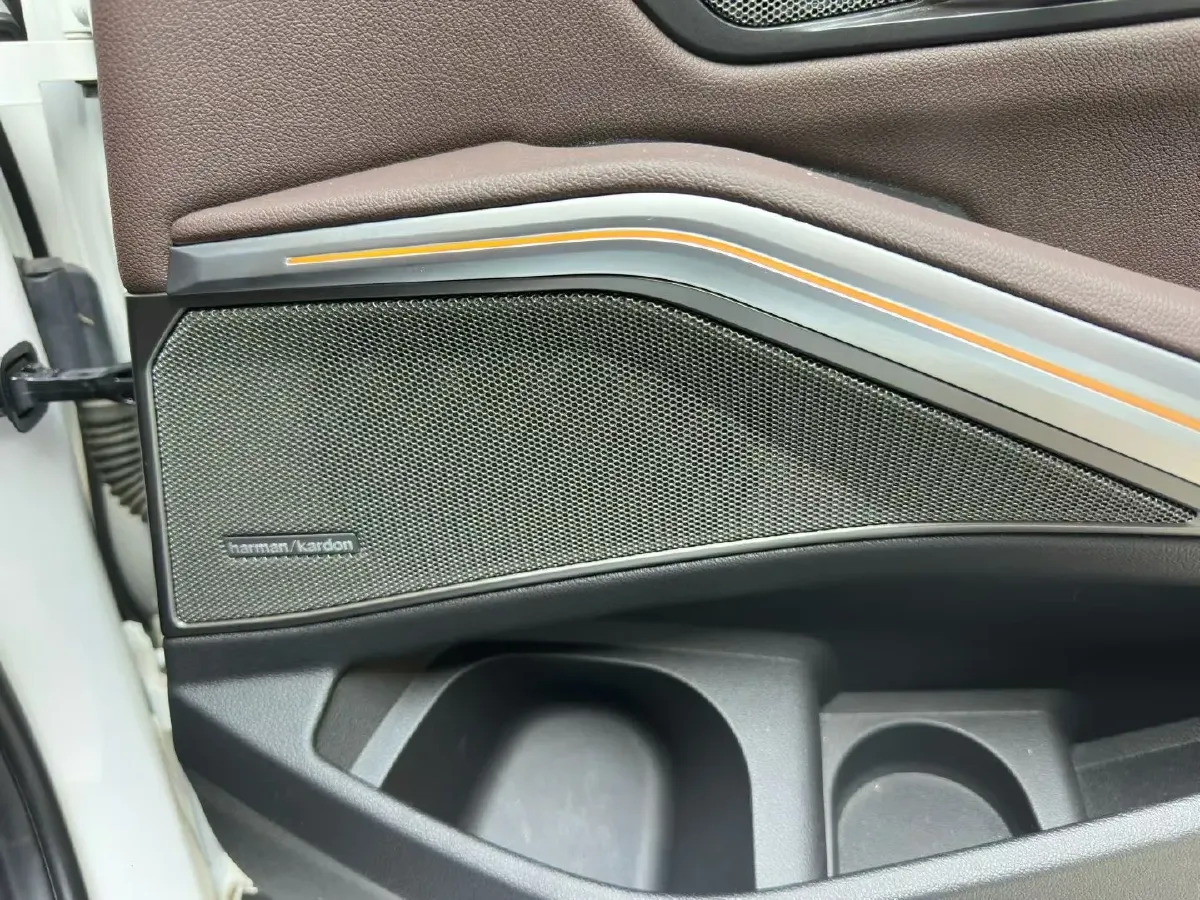 2020 BMW 3 Series 2.0T 184HP L4 8AT,autocango,china used car exporter,china ev exporter,chinese used car exporter,chinese used ev exporter