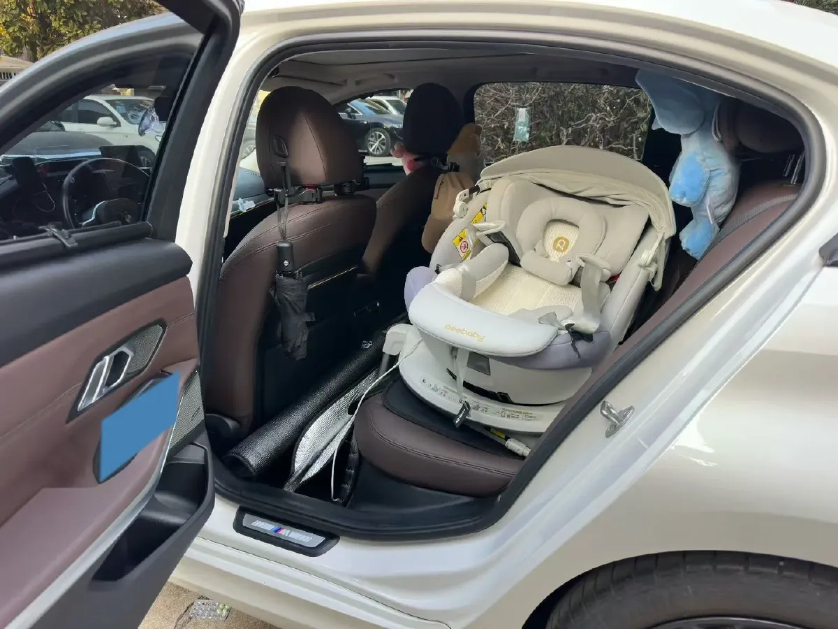 2020 BMW 3 Series 2.0T 184HP L4 8AT,autocango,china used car exporter,china ev exporter,chinese used car exporter,chinese used ev exporter