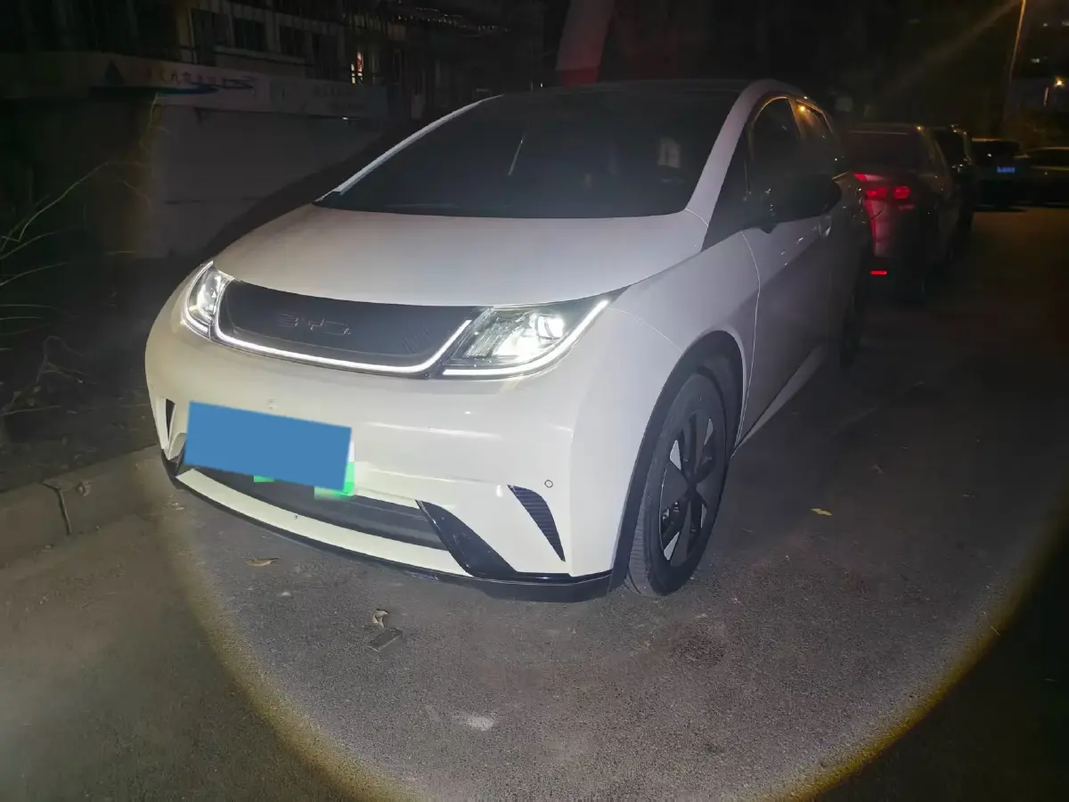 2023 BYD Dolphin BEV 44.928KWH