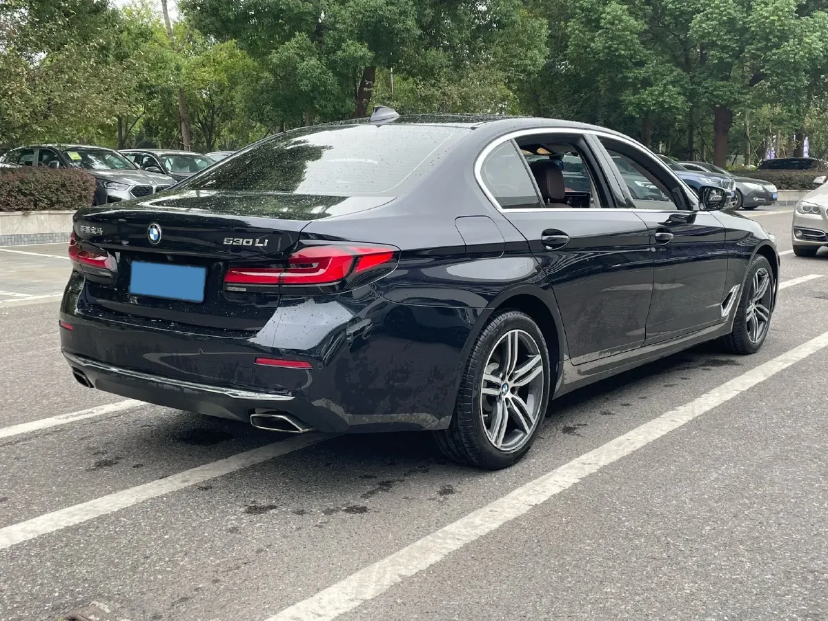 2021 BMW 5 Series 2.0T 252HP L4 8AT,autocango,china used car exporter,china ev exporter,chinese used car exporter,chinese used ev exporter