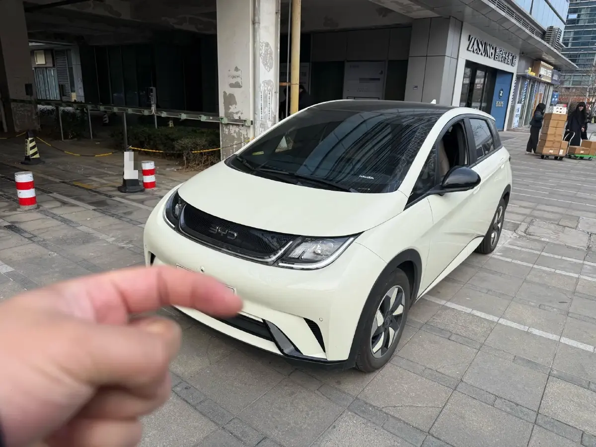 2025 BYD Dolphin BEV 44.928KWH