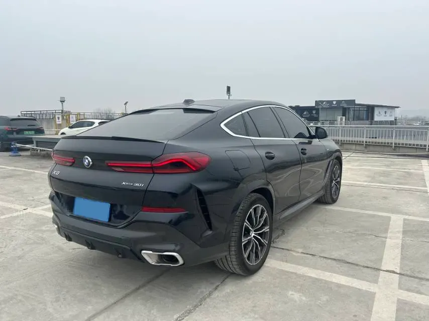 2023 BMW X6 2.0T 258HP L4 8AT,autocango,china used car exporter,china ev exporter,chinese used car exporter,chinese used ev exporter
