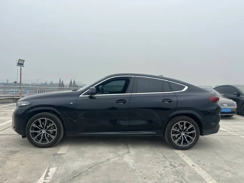 2023 BMW X6 2.0T 258HP L4 8AT,autocango,china used car exporter,china ev exporter,chinese used car exporter,chinese used ev exporter