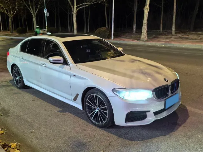 2020 BMW 5 Series 2.0T 252HP L4 8AT,autocango,china used car exporter,china ev exporter,chinese used car exporter,chinese used ev exporter