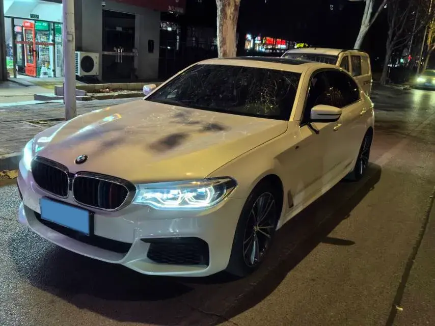 2020 BMW 5 Series 2.0T 252HP L4 8AT