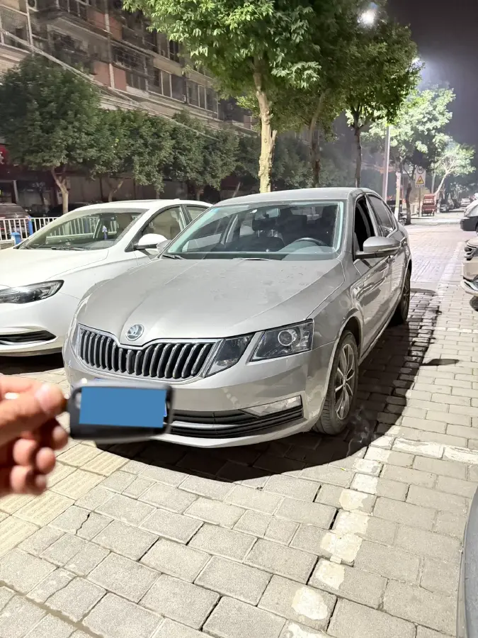 2019 Skoda Octavia 1.2T 116HP L4 7DCT