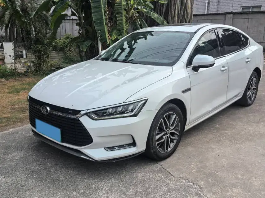 2019 BYD Qin Pro BEV 53.1KWH