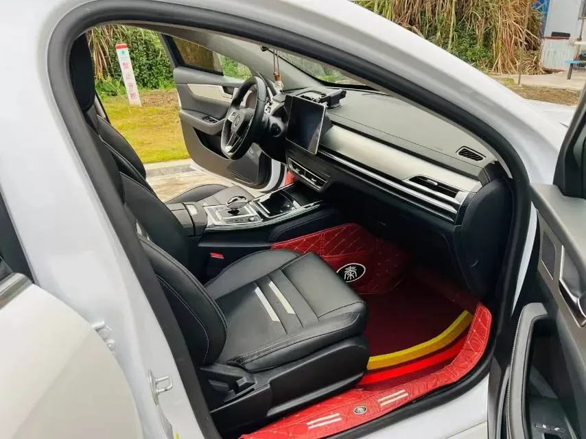 2019 BYD Qin Pro BEV 53.1KWH,autocango,china used car exporter,china ev exporter,chinese used car exporter,chinese used ev exporter