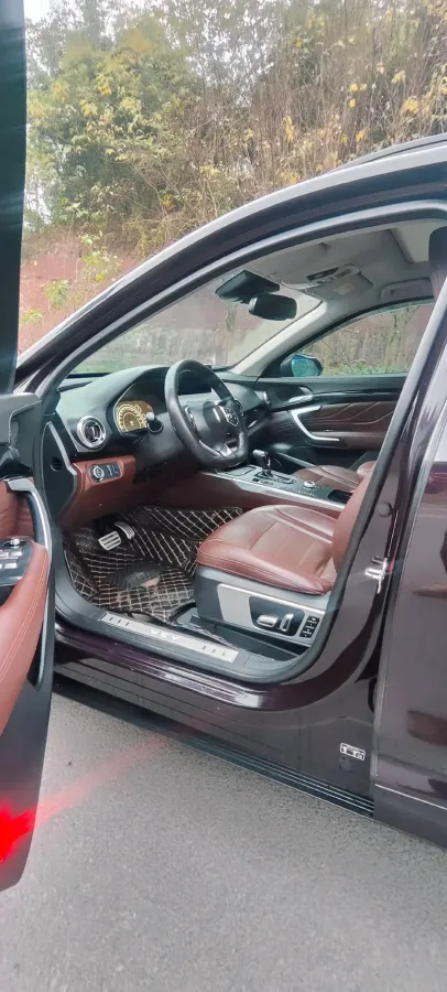 2017 WEY VV7 2.0T 234HP L4 7DCT,autocango,china used car exporter,china ev exporter,chinese used car exporter,chinese used ev exporter