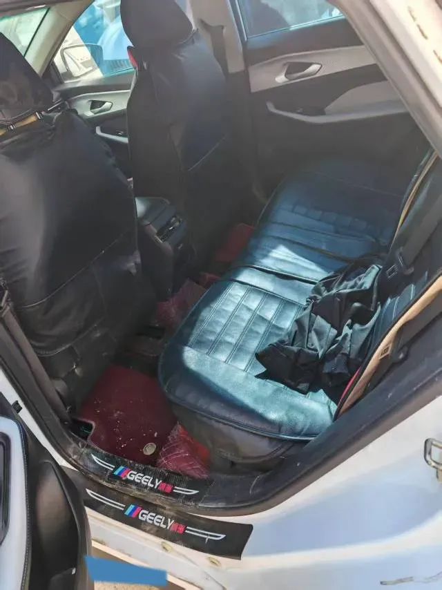 2024 Geely Binray 1.5T 181HP L4 7DCT,autocango,china used car exporter,china ev exporter,chinese used car exporter,chinese used ev exporter