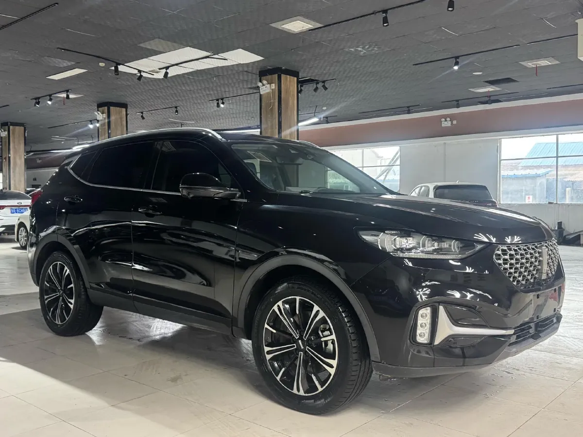 2021 WEY VV6 2.0T 227HP L4 7DCT,autocango,china used car exporter,china ev exporter,chinese used car exporter,chinese used ev exporter