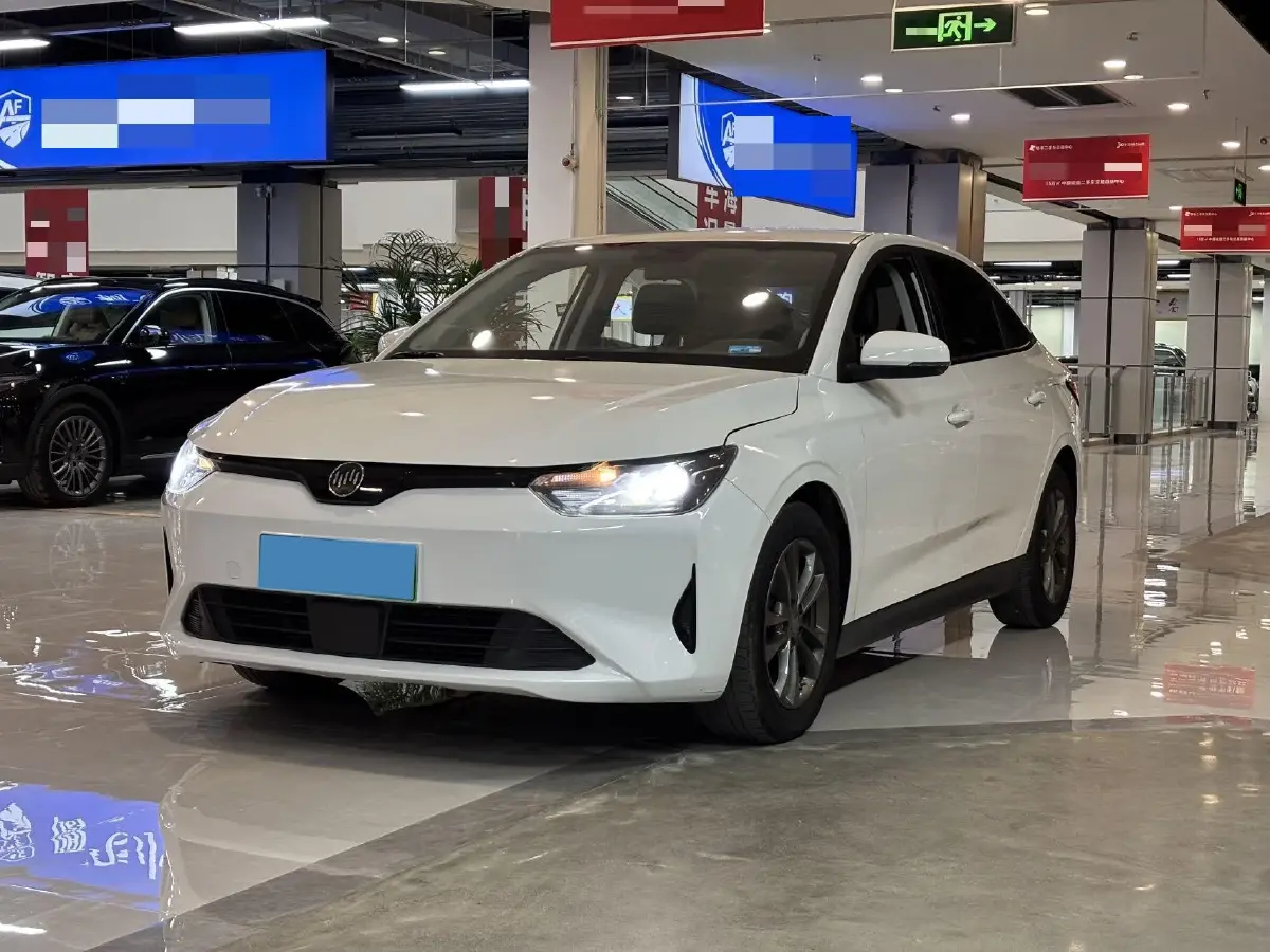 2021 Weltmeister E.5 BEV 49.92KWH