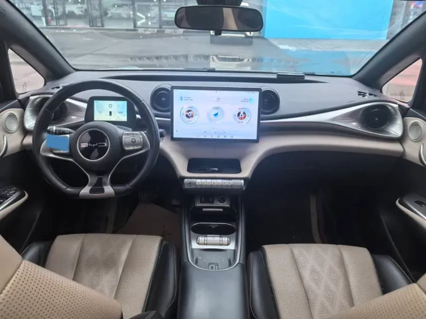 2023 BYD Dolphin BEV 44.928KWH,autocango,china used car exporter,china ev exporter,chinese used car exporter,chinese used ev exporter