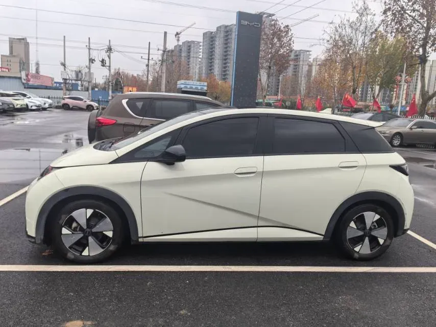 2023 BYD Dolphin BEV 44.928KWH,autocango,china used car exporter,china ev exporter,chinese used car exporter,chinese used ev exporter