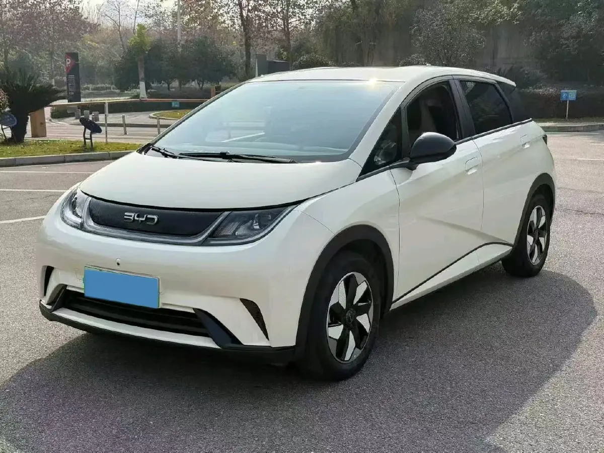 2025 BYD Dolphin BEV 44.928KWH 2025 BYD Dolphin BEV 44.928KWH