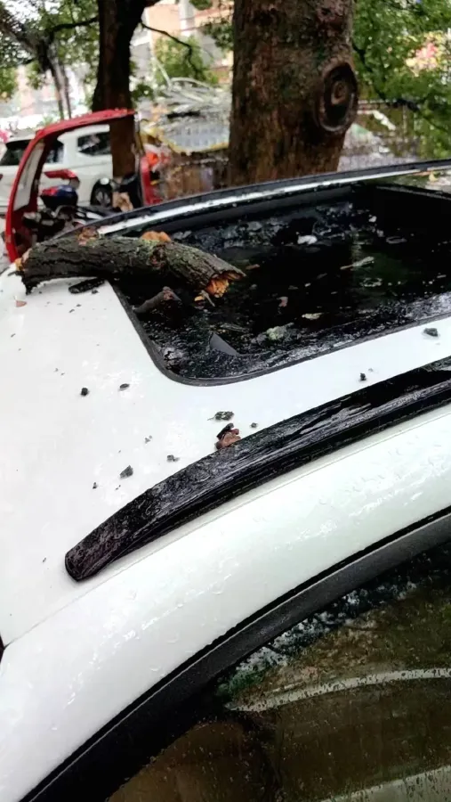 2021 Buick GL8 2.0T 237HP L4 9AT,autocango,china used car exporter,china ev exporter,chinese used car exporter,chinese used ev exporter