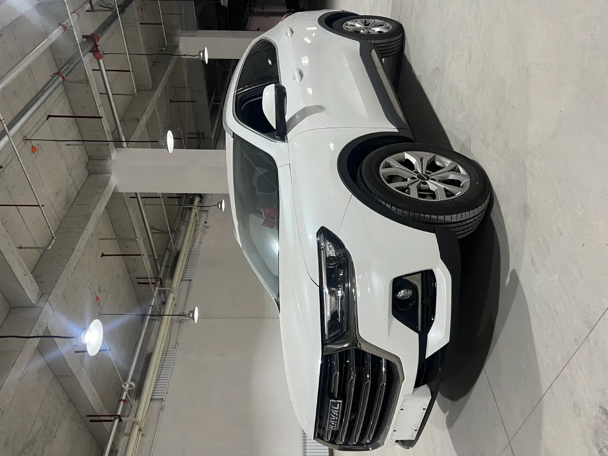 2021 Haval H6 2.0T 224HP L4 7DCT,autocango,china used car exporter,china ev exporter,chinese used car exporter,chinese used ev exporter