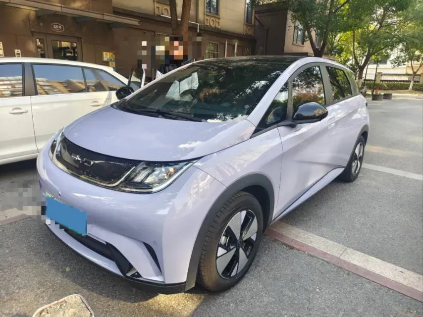 2023 BYD Dolphin BEV 44.928KWH,autocango,china used car exporter,china ev exporter,chinese used car exporter,chinese used ev exporter