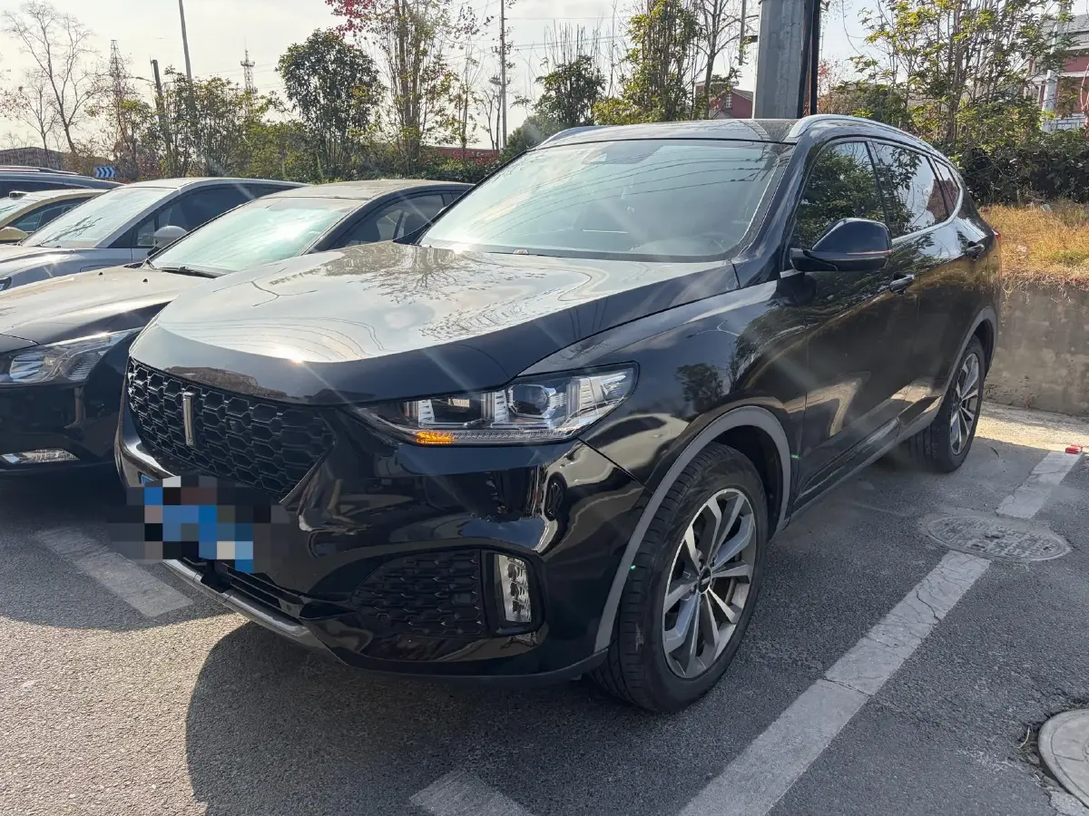 2018 WEY VV6 2.0T 197HP L4 7DCT