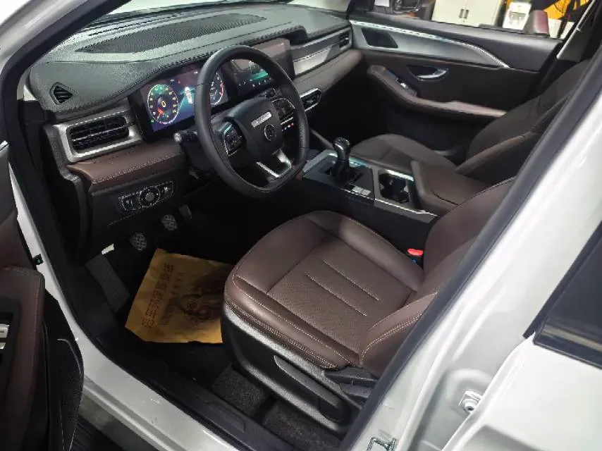 2024 Dongfeng RuiQi6 pro 2.3T 147HP L4 6MT,autocango,china used car exporter,china ev exporter,chinese used car exporter,chinese used ev exporter