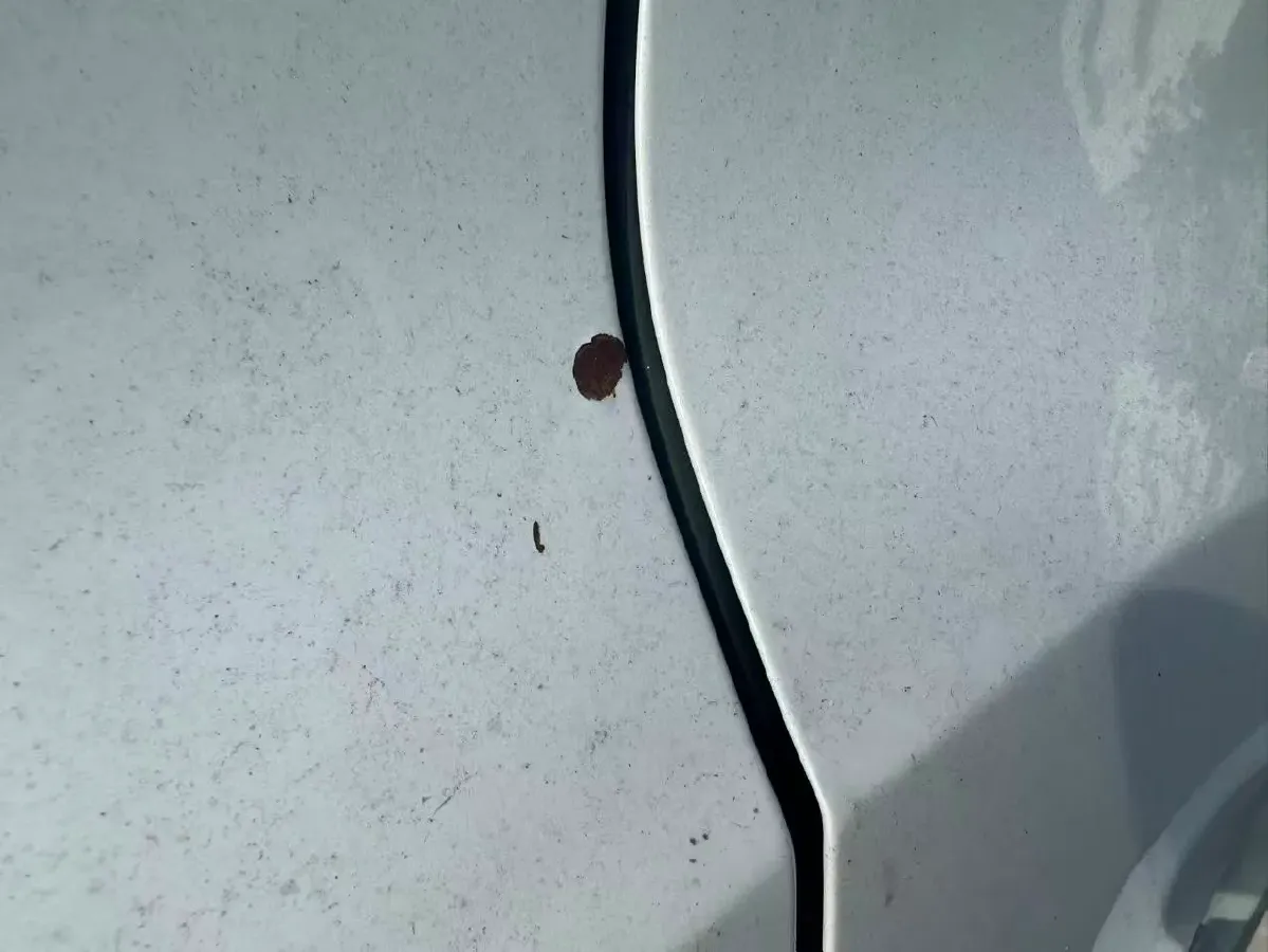 2018 MG ZS 1.5L 120HP L4 4AT,autocango,china used car exporter,china ev exporter,chinese used car exporter,chinese used ev exporter