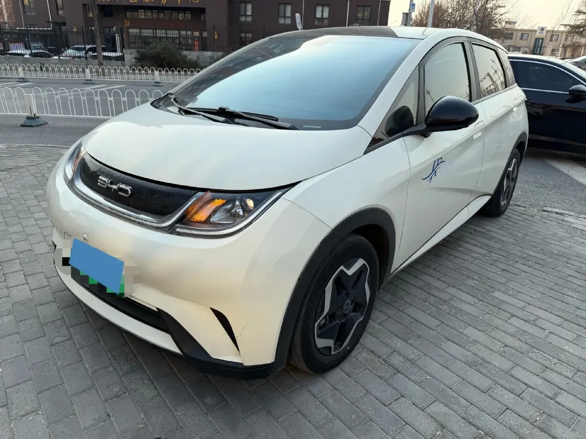 2023 BYD Dolphin BEV 44.928KWH