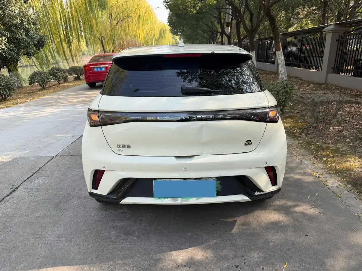 2023 BYD Dolphin BEV 44.928KWH,autocango,china used car exporter,china ev exporter,chinese used car exporter,chinese used ev exporter